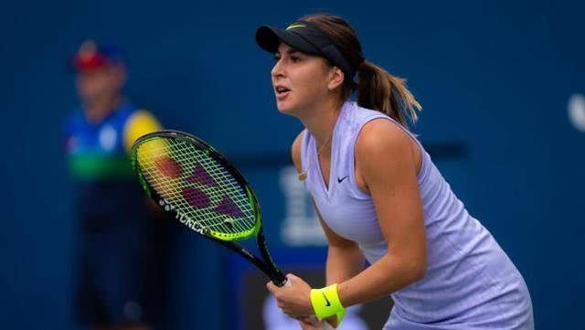 明度和参与 明度和参与